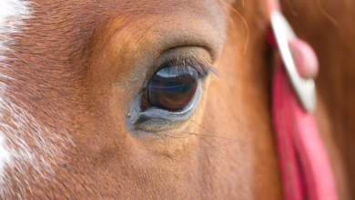 Verliert Ihr Geld in Kryptowährungen? Diese Altcoins jetzt verkaufen!