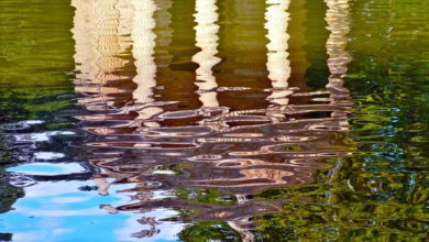 Ripple im Fokus: Könnte XRP die Regulierungslandschaft revolutionieren?
