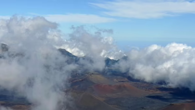 Neue Höhen im Altcoin-Markt: Investitionsmöglichkeiten vor dem Bitcoin-Boom