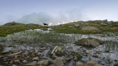 Ende der Geldverknappung? Krypto-Analyst sieht positive Preisentwicklung