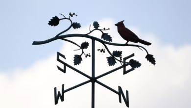 Entdecken Sie die besten Krypto-Casinos: Vorteile, Bonusse und Spiele