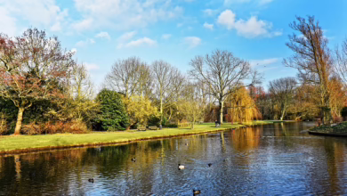 Betriebsweise der Banken: Klarstellung zur Krypto-Aktivität in den USA