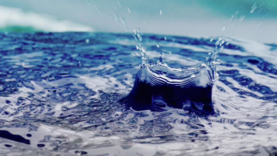 Ripple Labs beantragt Marke: Neues Zeugnis für Krypto-Bewahrung?