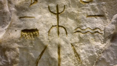 Nubank erweitert Krypto-Angebot: Vier neue Altcoins für Brasilianer