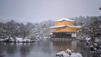Japan: Neue Regulierung für Kryptowährungen in Aussicht