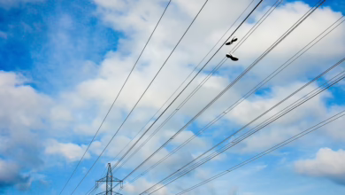 Quo vadis Krypto: XRP, BNB und Qubetics als Wegbereiter für Investoren?