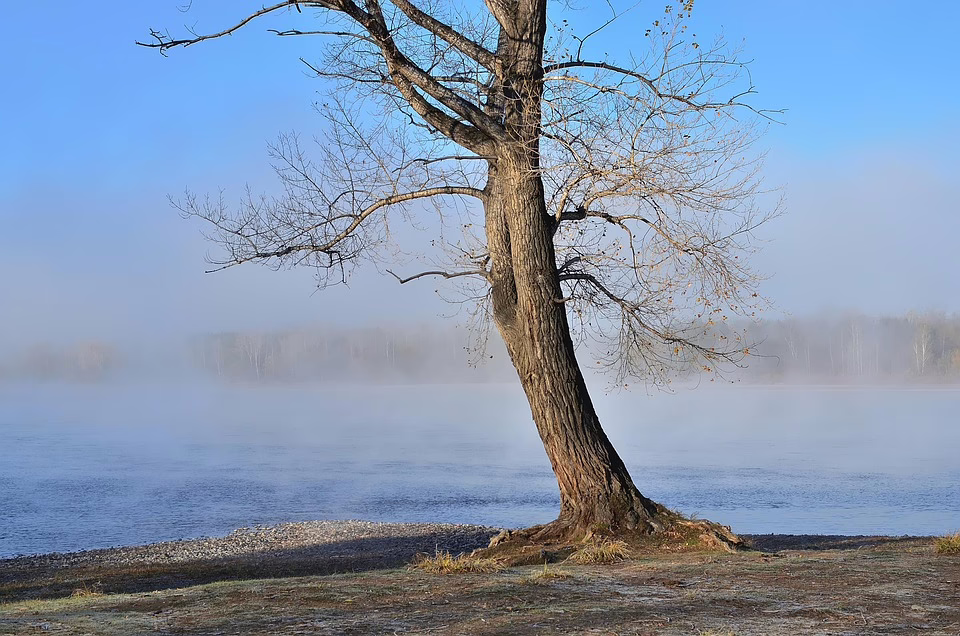Russland und Tether:Neue Wege, Sanktionen zu umgehen