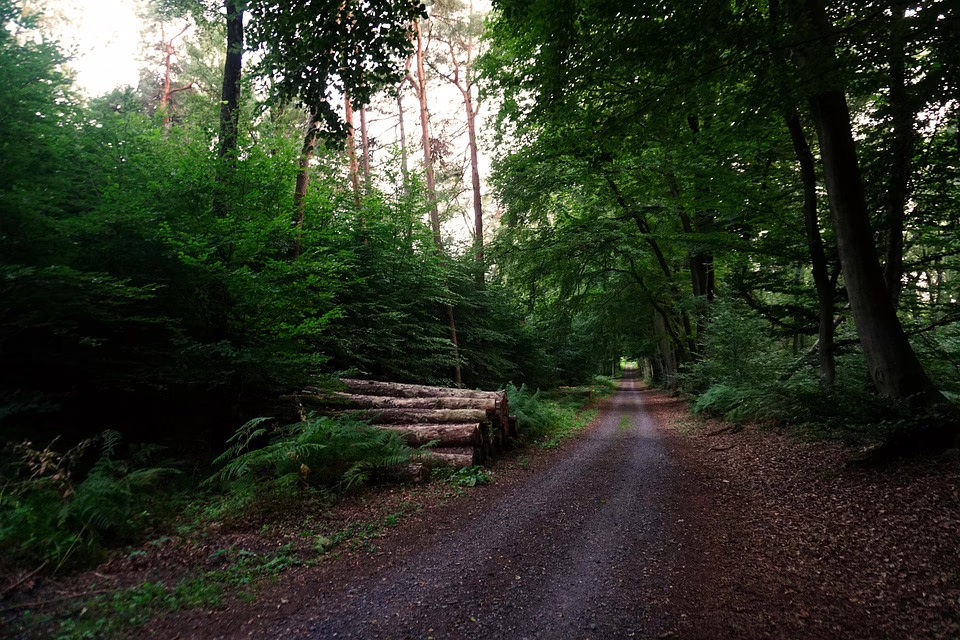 Shiba Inu übertrifft Bitcoin und Ethereum bei langfristigen Haltern