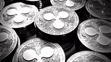 XRP im Aufwind: Comeback nach Trump und neuen Fiskalmaßnahmen!