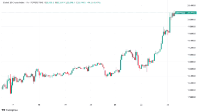 Bitcoin-Preisanstieg: Lokale Investoren reagieren auf Krypto-Revitalisierung