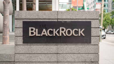 BlackRock-Chef warnt: Bitcoin droht dem Dollar die Vormachtstellung