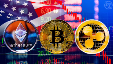 Krypto-Markt im Sturzflug: Ursachen für den Preisverfall von Bitcoin & Co.
