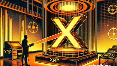 XRP unter Beschuss: Ist die Kryptowährung wirklich dezentral?