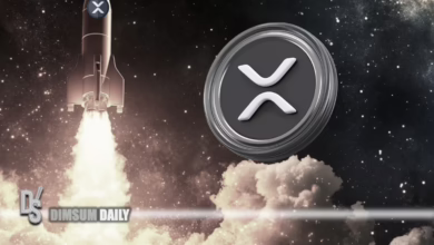 XRP im Aufwind: Droht ein Kursanstieg auf 30 Dollar?