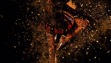 Cardano auf der Überholspur: Zollpause gibt Krypto-Markt neuen Schwung!