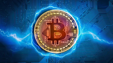 "BlackRock investiert 240 Millionen Dollar: Bitcoin auf dem Weg zur 100K-Marke!"