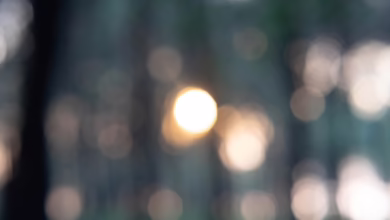 Ripple gewinnt: Neue Klarheit für XRP und spannende Krypto-Vorverkäufe