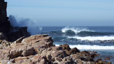 Bitcoin und Altcoins: Marktcrash mit Hoffnungen auf baldige Erholung