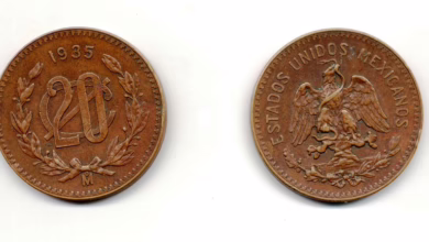 Jasmy Coin erreicht höchsten Stand seit März – Was steckt hinter dem Aufschwung?