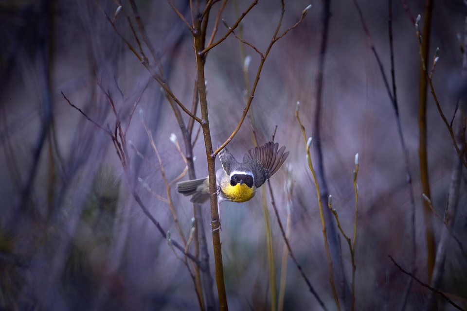 BlackRock erhält FCA-Zulassung: Ein neuer Schritt in die Krypto-Welt