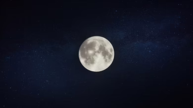 Circle plant Börsengang: Neue Chancen für die Kryptobranche?