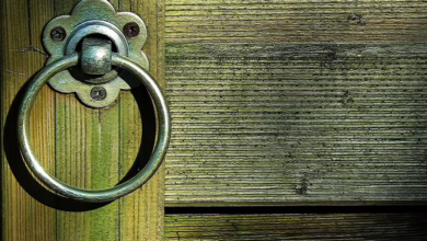 Trumps Eintritt in die Krypto-Welt: Ein Blick auf ihre digitalen Investitionen