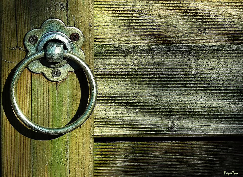 Trumps Eintritt in die Krypto-Welt: Ein Blick auf ihre digitalen Investitionen