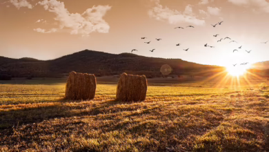 Neue Entwicklungen im Krypto-Markt: Chancen und Risiken im Fokus