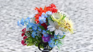 Cardano Stabilität: Was die $0,65 Unterstützung für Investoren bedeutet