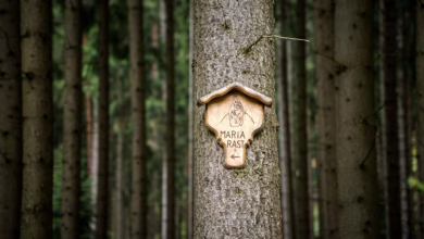 Krypto-Markt im Aufruhr: Bitcoin erholt sich vor Trumps Ankündigung