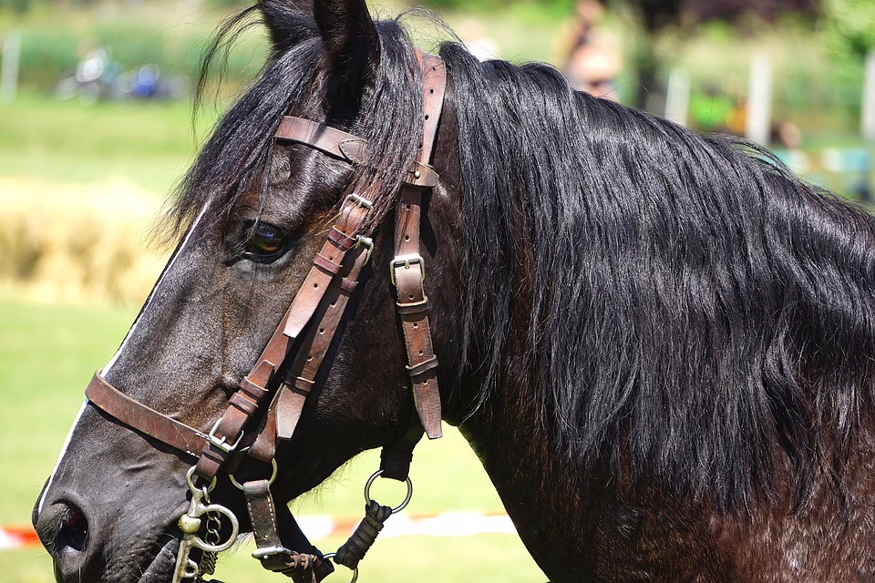 Neue Milliarden-Allianz: Cantor Fitzgerald und Partner drängen in Bitcoin