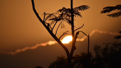 Trump-Familie und die Krypto-Welt: Ein Milliarden-Portfolio im Entstehen