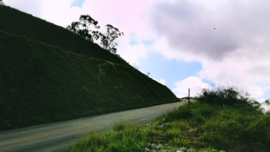 XRP-Prognose: Experte sieht Aufstieg auf bis zu 20 US-Dollar trotz Skepsis