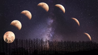 Eclipse: Die modulare Blockchain-Lösung für schnelle und sichere Transaktionen