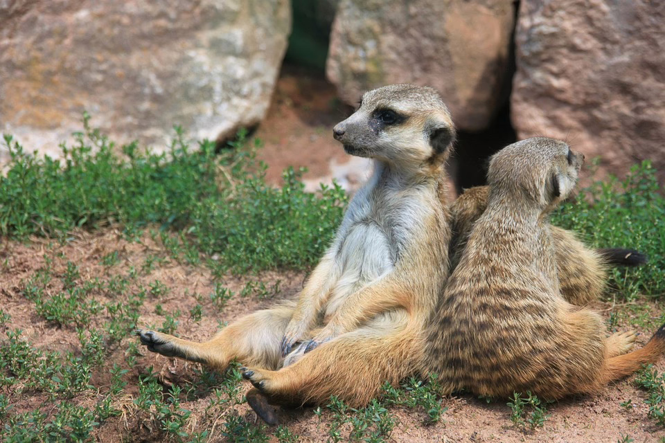 Krypto-Markt bleibt gelassen: EZB-Zinssenkungen ohne große Auswirkungen