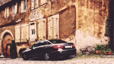 Bitex Wealth: Die neue Revolution im deutschen Krypto-Handel