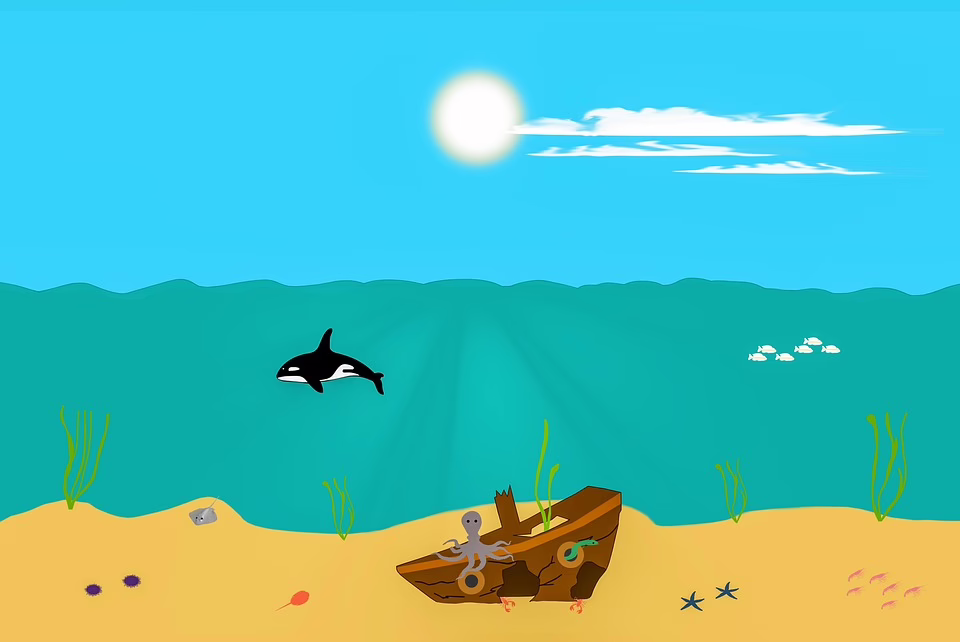 Kraken erweitert Krypto-Custody-Dienst für Institutionen in UK und Australien