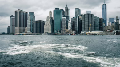 New Yorks überraschender Schritt: Kryptowährungen für Steuern und Mieten?