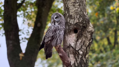 Bitcoin: Kommt die 20.000-Dollar-Marke oder doch die große Rallye?