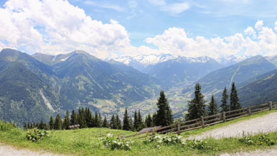 Dogecoin im Aufruhr: Kursanalyse und Ausblick auf die nächsten Schritte