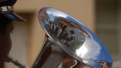 Bitcoin-Crash: Turbulenzen am Krypto-Markt nach Trumps Äußerungen