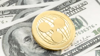XRP im Aufwind: Starker Anstieg trotz globalem Marktabsturz