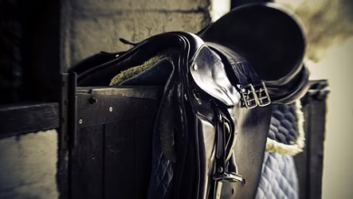 Bitcoin bleibt stabil: Ein Lichtblick in turbulenten Märkten