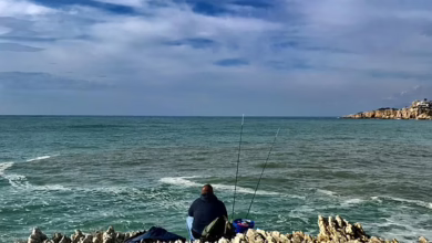 „Kryptowährungen: Beste Kaufchancen vor der FED-Entscheidung im April“
