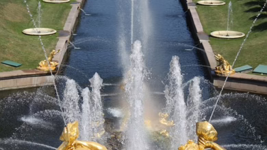 SUI-Krypto-Rallye: Gründe für den aktuellen Höhenflug im Überblick