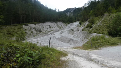 Avalanche AVAX: Der nächste große Krypto-Star mit 10-fachem Potenzial