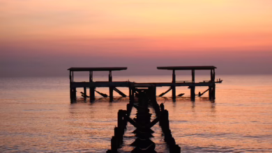 Kryptowährungen von 2025: Qubetics, SEI und EOS im Aufbruch