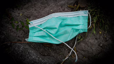 PayPal erweitert Krypto-Angebot: Solana und Chainlink jetzt verfügbar!