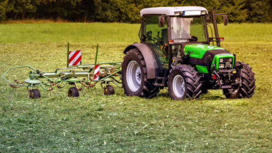 Blockchain: Revolutionäre Technologien für den Alltag in unserer Region