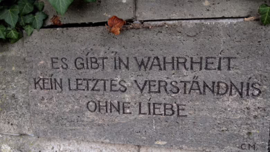 Verstehen Sie die Auswirkungen von ETP-Mittelabflüssen auf den Kryptomarkt!